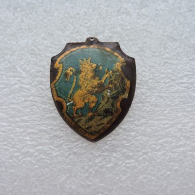 Відзнака з Галицьким Левом.